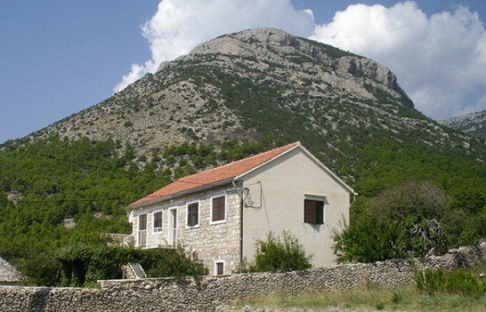 Apartamenti Adriana: A 2+2 