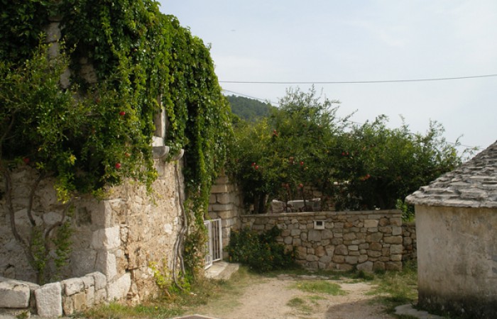 Apartamenti Adriana: A 4 
