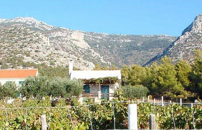 Apartments Anic: Vineyard House 