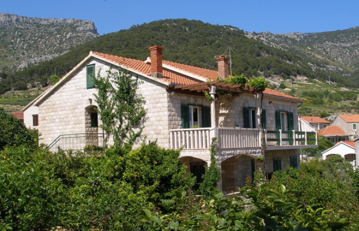Apartmani Dina: A 2 