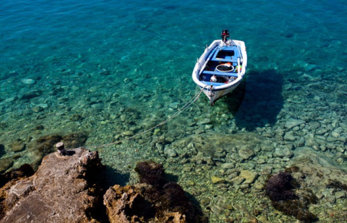 Apartments Lovely Croatia: Apartment Poppy 