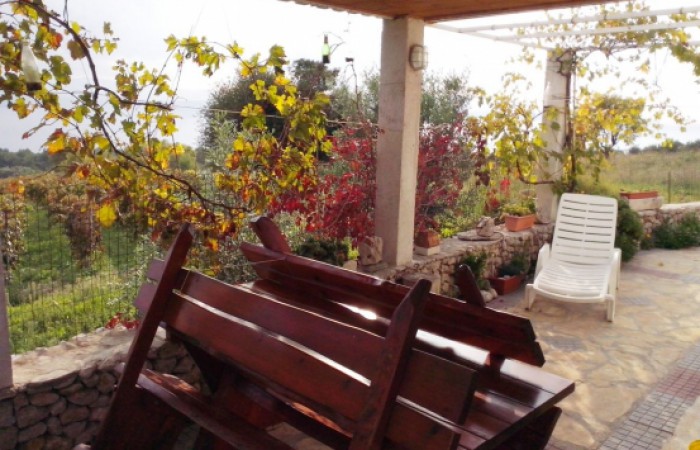 Vineyard house 